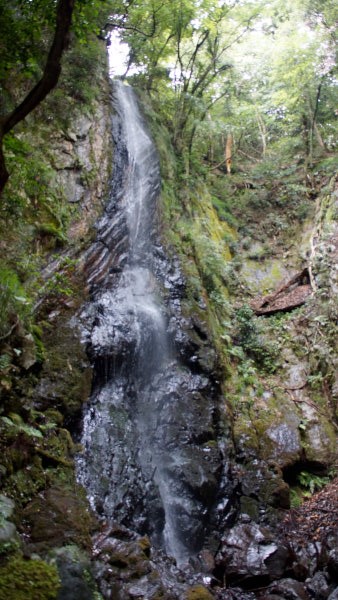 camp29 (192).jpg